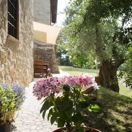 Casale In Teverina Penna in Teverina